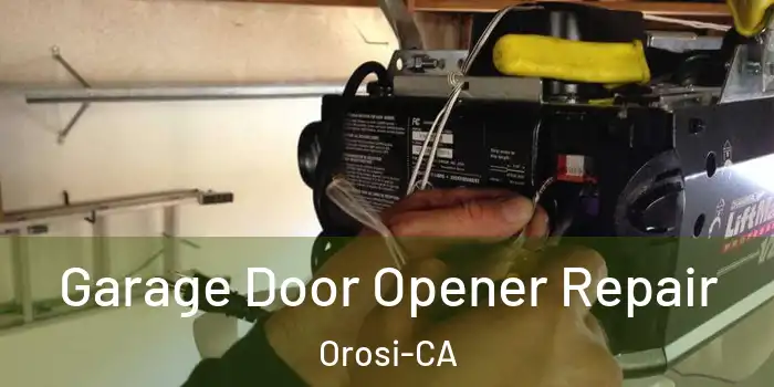  Garage Door Opener Repair Orosi-CA