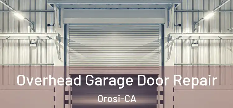 Overhead Garage Door Repair Orosi-CA