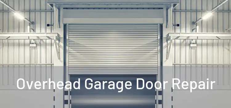  Overhead Garage Door Repair 